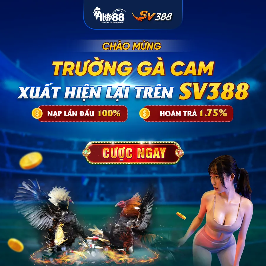 trang cá độ bóng đá uy tín